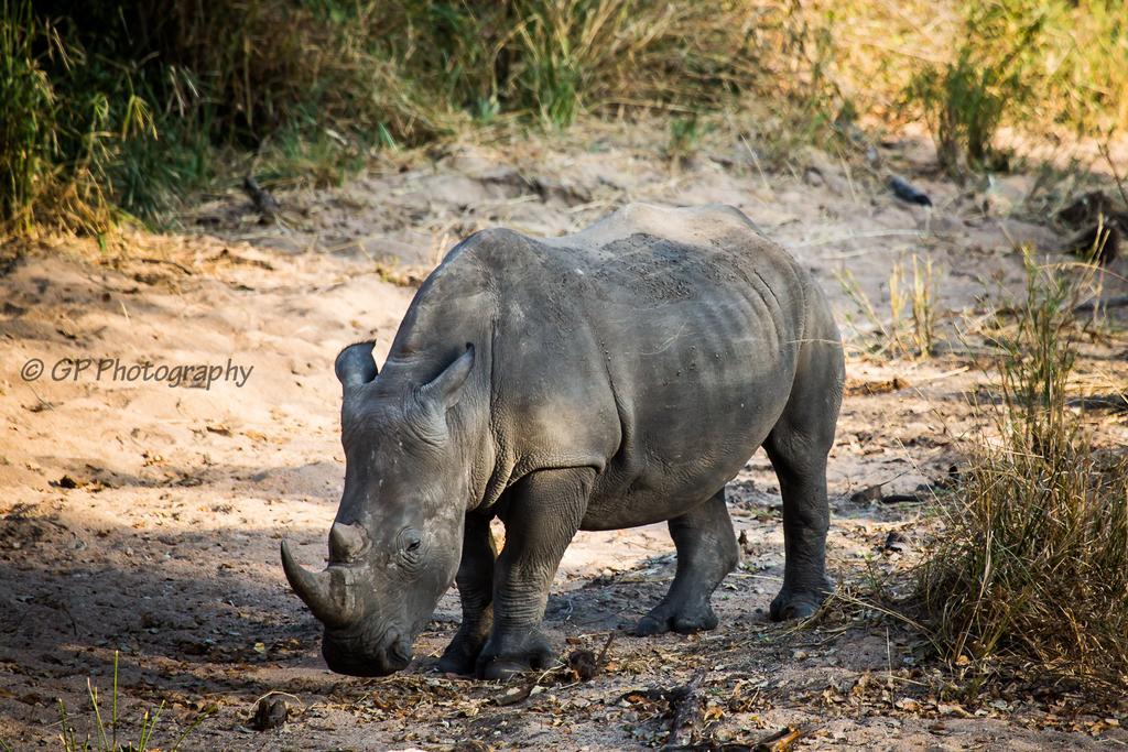Laguna Lodge Graskop Ngoại thất bức ảnh